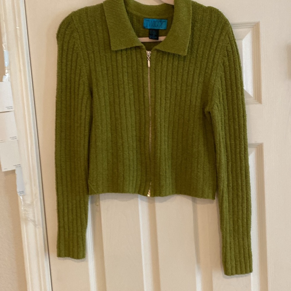 Medium Twiggy silk sweater top 56%, silk, a lovely green, with zipper top, young